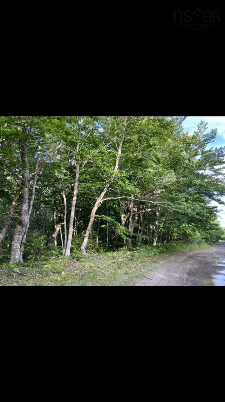 Property Photo:  Simons Rd.  NS B0H 1P0 