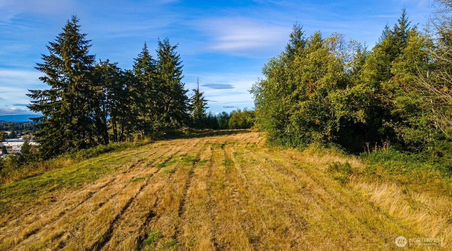 Property Photo: 0 Salzer Creek Drive Lot 7 WA 98531