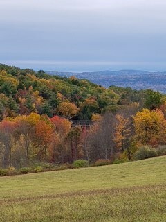 900 Town Line Rd  Johnson City NY 13790 photo