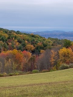 Property Photo:  900 Town Line Rd  NY 13790 