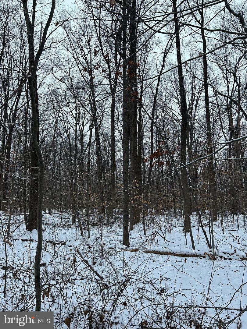 Property Photo:  Block 34 Lot 17 Ridge Road  NJ 08525 