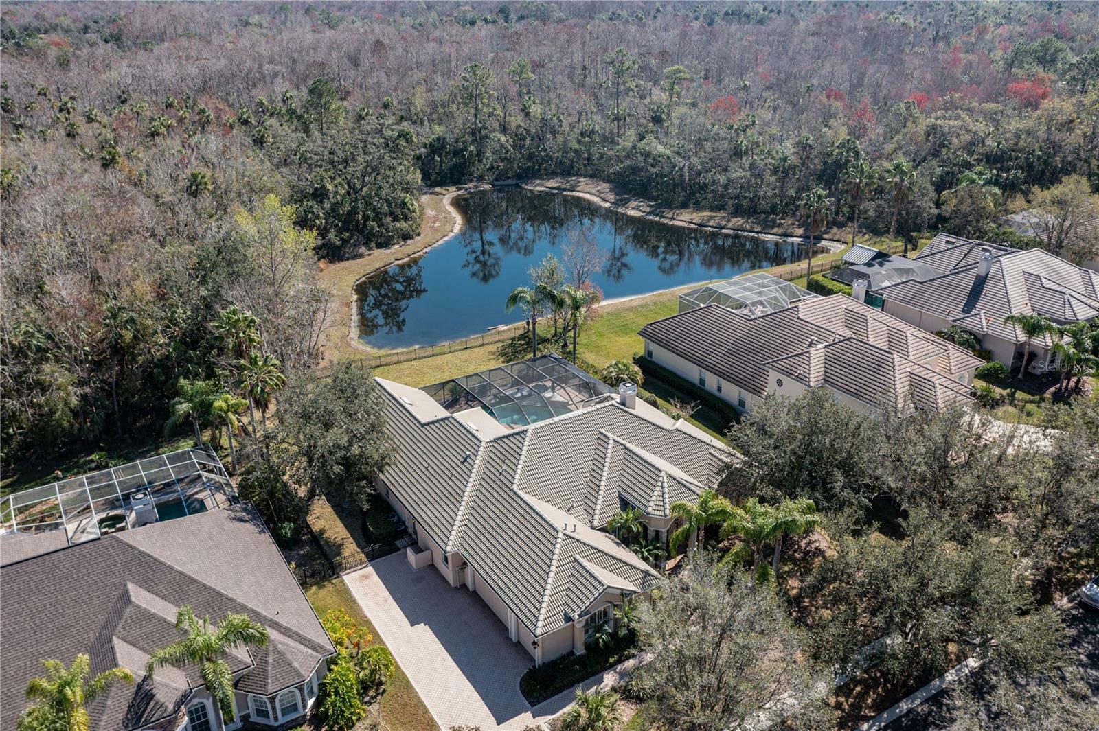 Property Photo: 16331 Burniston Drive FL 33647
