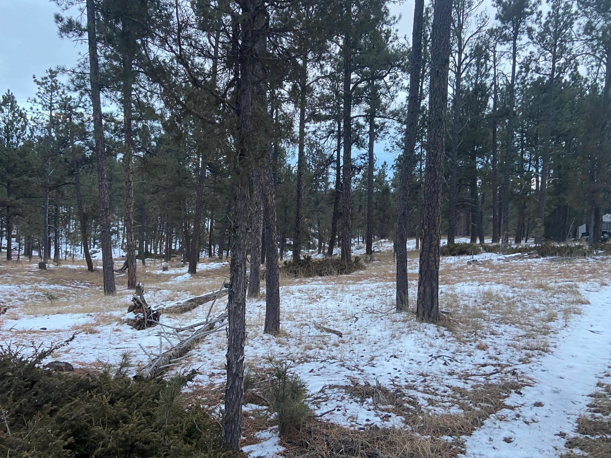 Property Photo:  Tract 59 Buffalo Butte Drive  SD 57747-6019 