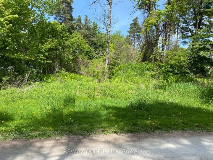 149 Evergreen Lane — photo 1
