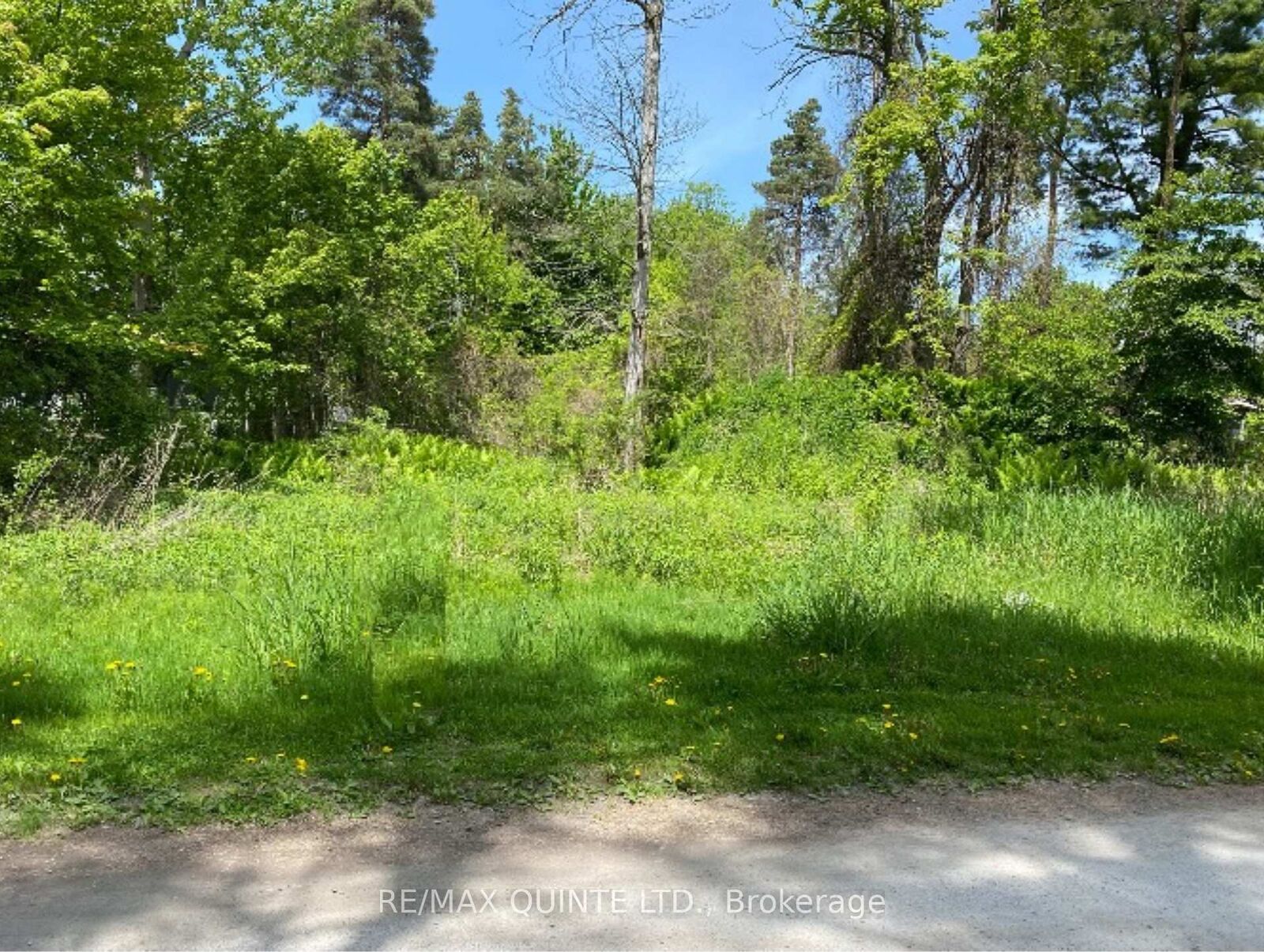 Property Photo:  149 Evergreen Lane  ON K0K 1H0 