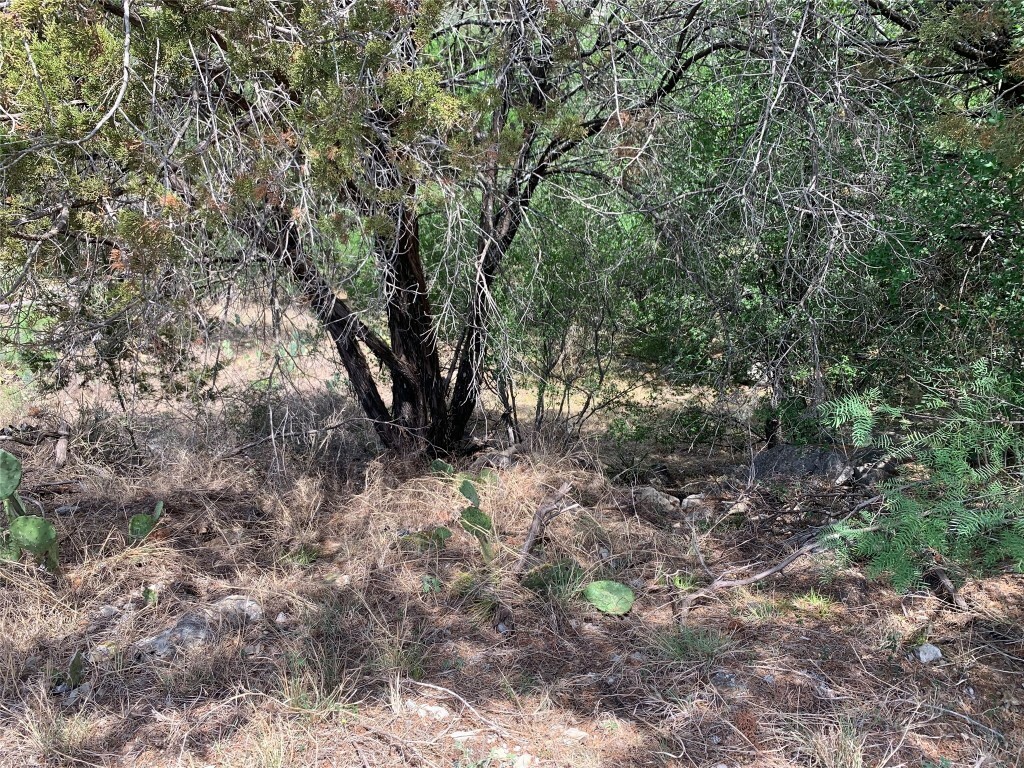 Property Photo:  702 Fallow  TX 78657 