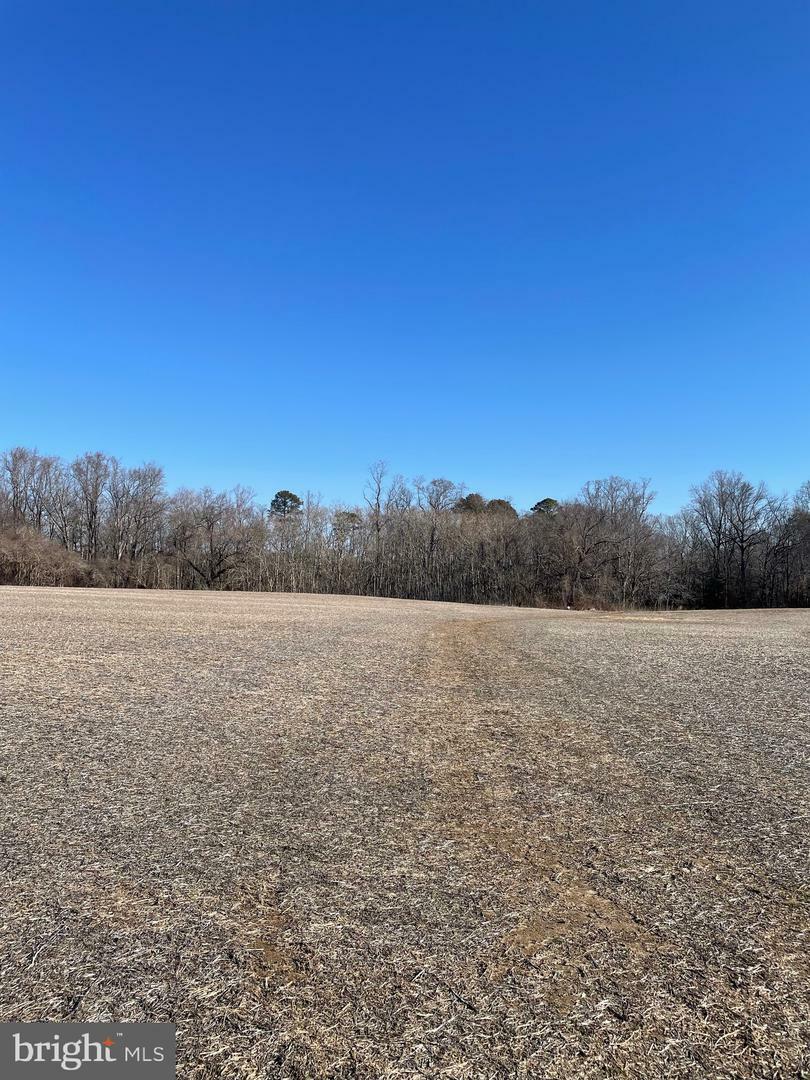 Property Photo:  Lots 1-4 Beaver Dam Rd  MD 21673 