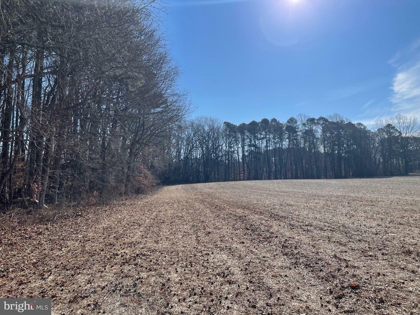 Property Photo:  Beaver Dam Rd  MD 21673 