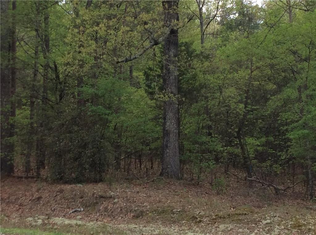 Property Photo: 2476 Rockbridge Road NW GA 30012