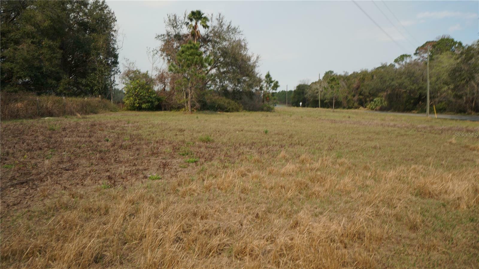 Property Photo:  Empire Church Road  FL 34736 