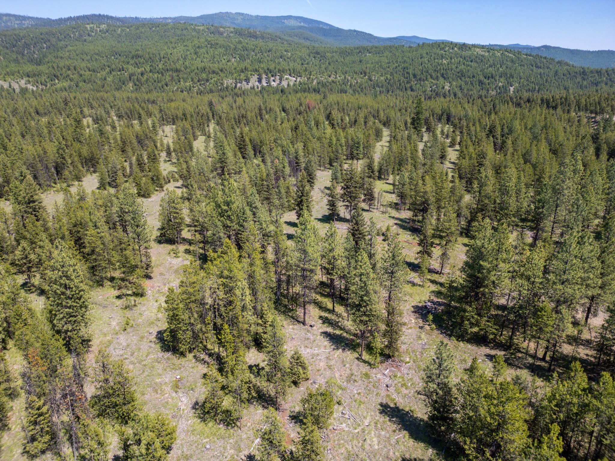 Property Photo:  Lot 9 Acm Road N  MT 59923 