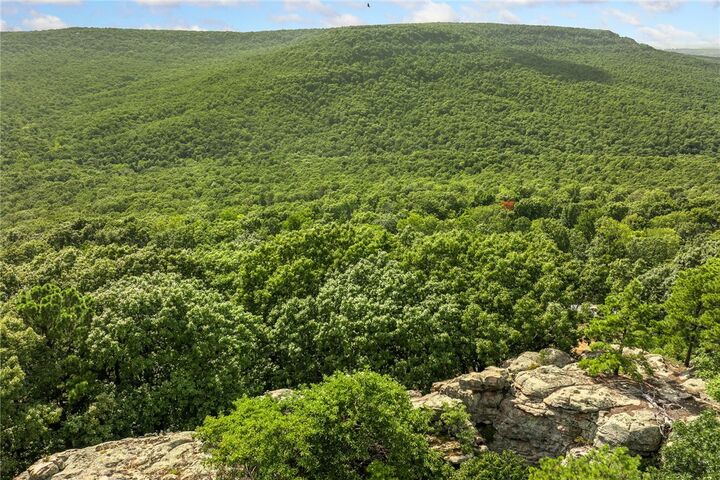 Property Photo: 86 Lots Round Mountain Estates AR 72601