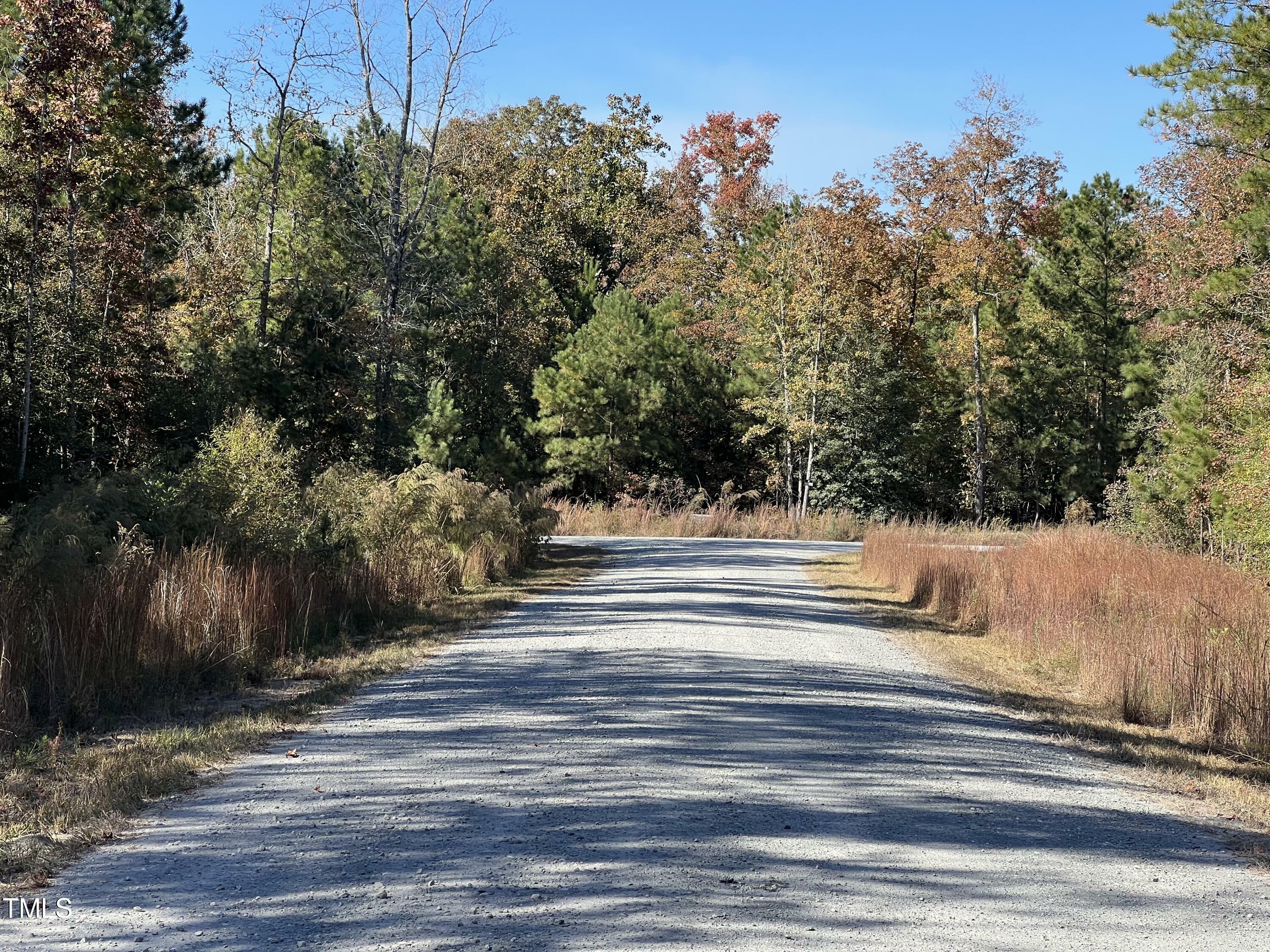 Property Photo:  205 Hazelton Farms Lane  NC 28326 