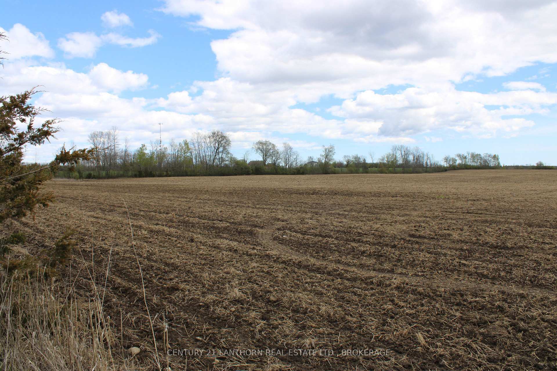 Photo de la propriété:  00 Belleville Road W  ON K0K 1X0 