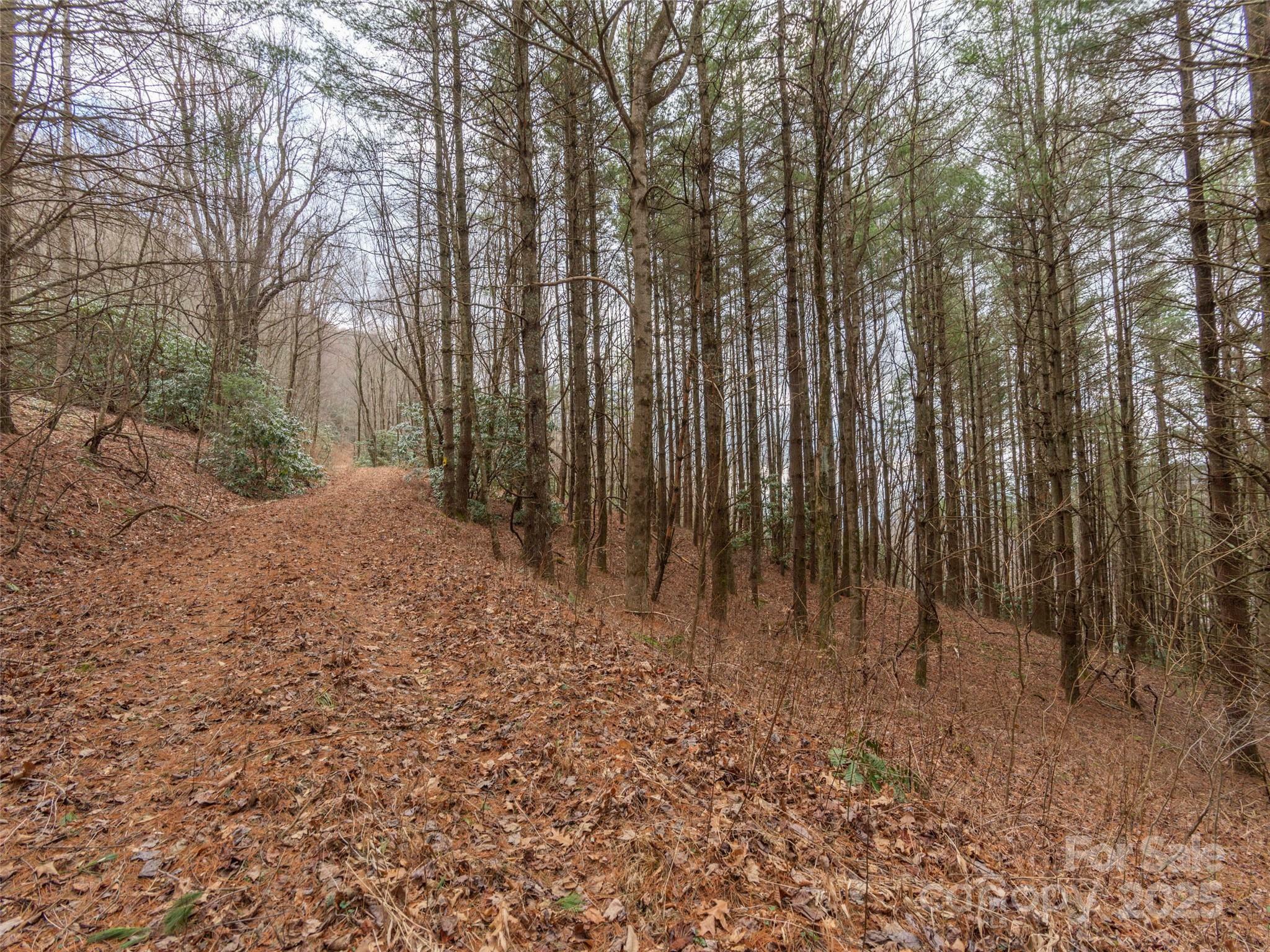 Property Photo:  00 Bald Creek Road  NC 28721 