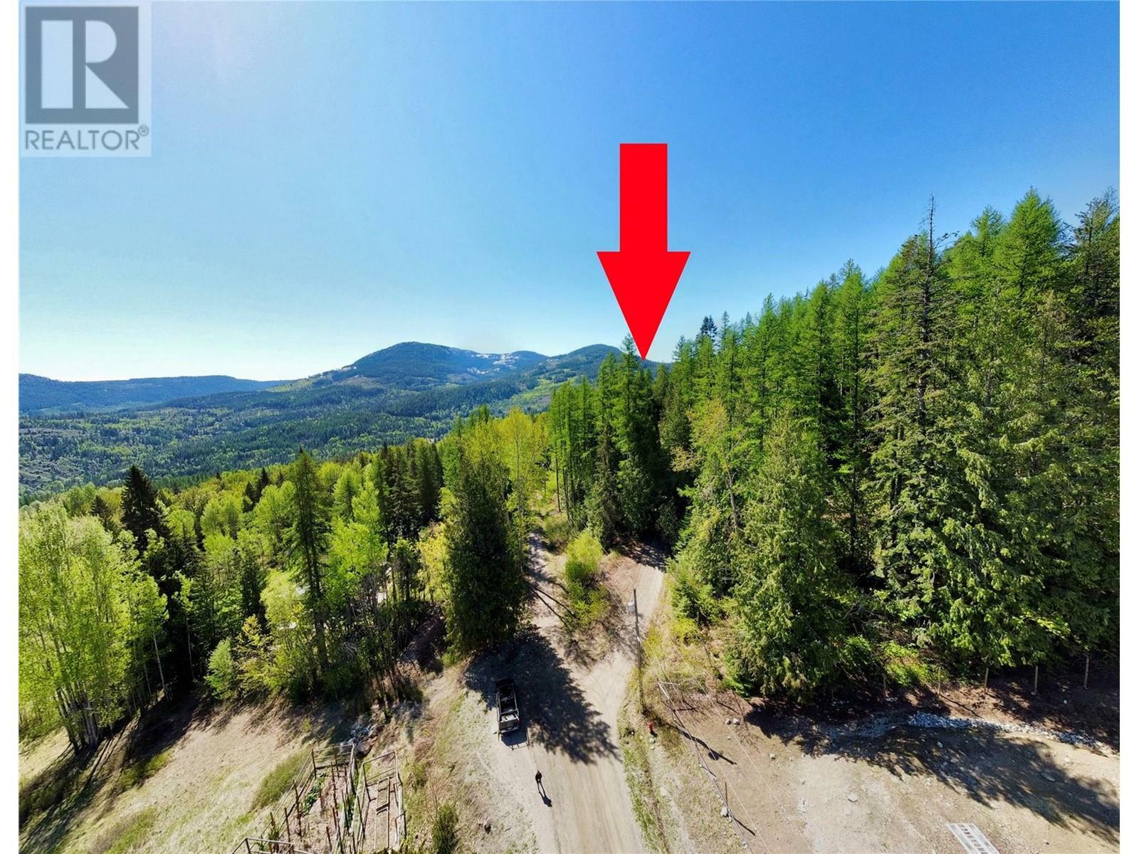 2009 Happy Valley Road  Rossland BC V0G 1Y0 photo