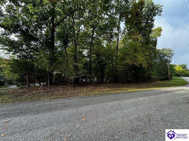 Property Photo: 874 Wildflower Ridge Road KY 40108