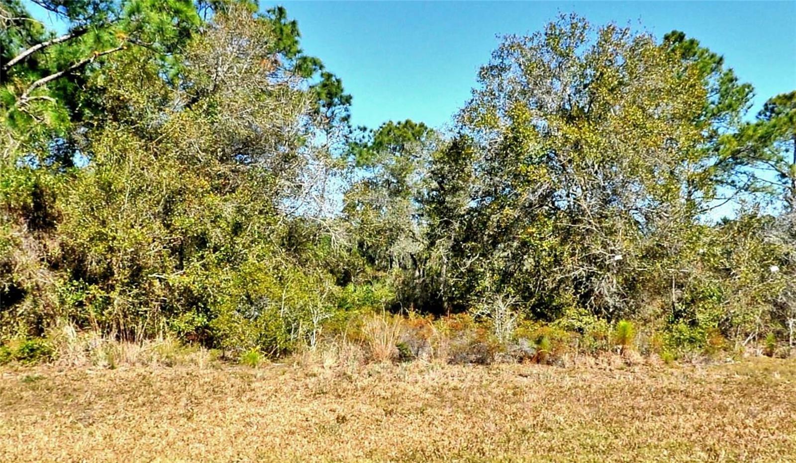 Property Photo: Tropicaire Boulevard FL 34286