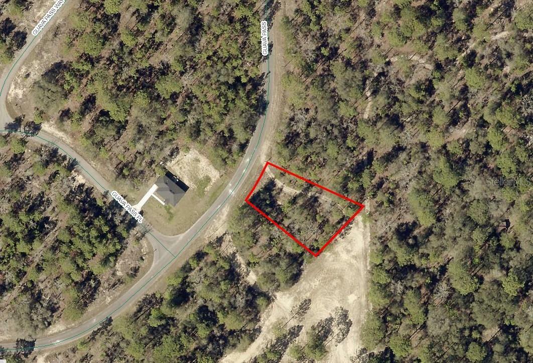 Property Photo:  164 Guava Pass  FL 32179 