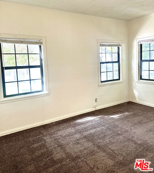 Property Photo: 1009 1/2 S Cochran Avenue CA 90019