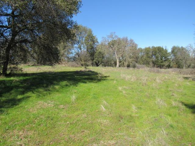 Property Photo: 1460 Country View Drive CA 95252