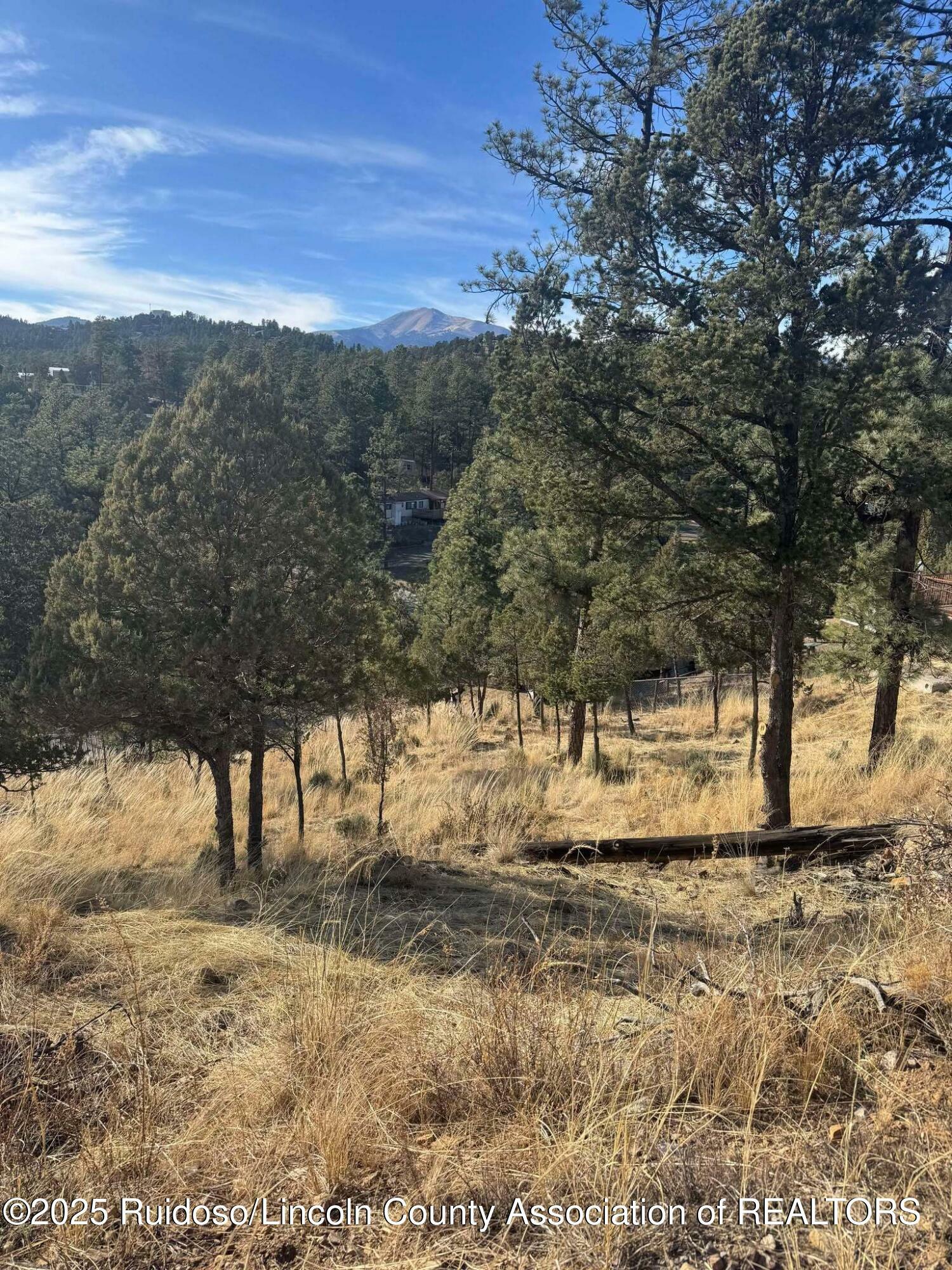 Property Photo:  110 Rockmount Drive  NM 88345 