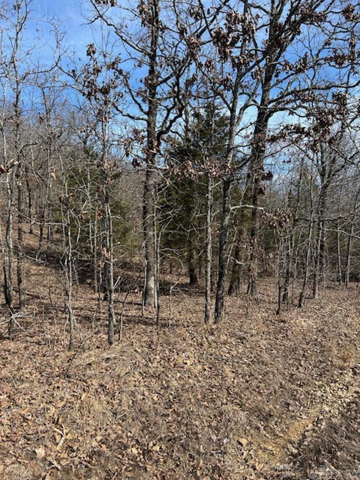 Property Photo:  Lot 27 Saltillo Heights  AR 72032 