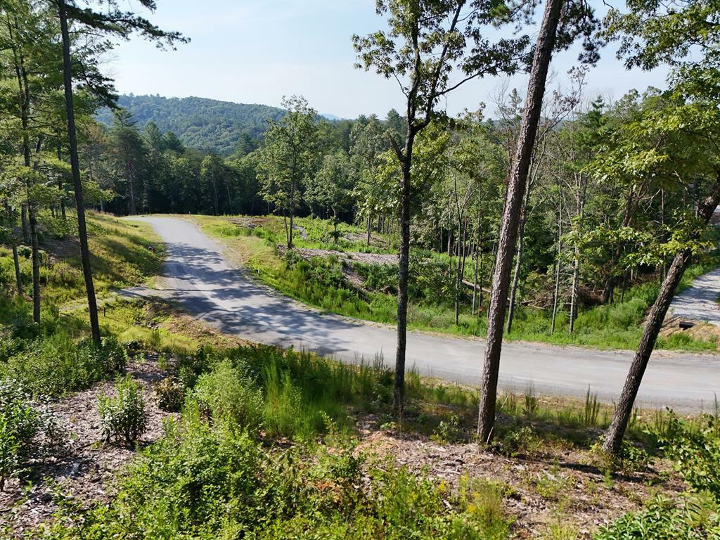 Property Photo: Lot 3 Mountain Laurel Ridge GA 30559