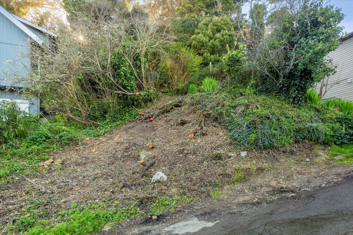 Property Photo: 0 Olympian Way CA 94044