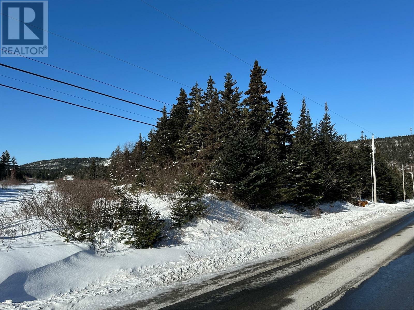 Photo de la propriété:  Lot 4 Connors Valley Road  NL A1Y 0A7 