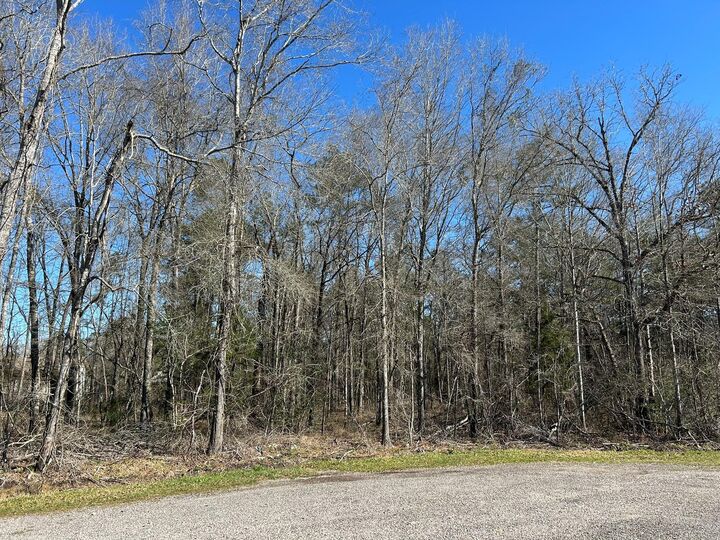Property Photo:  1.24 Ac Circle 5  TX 77632 