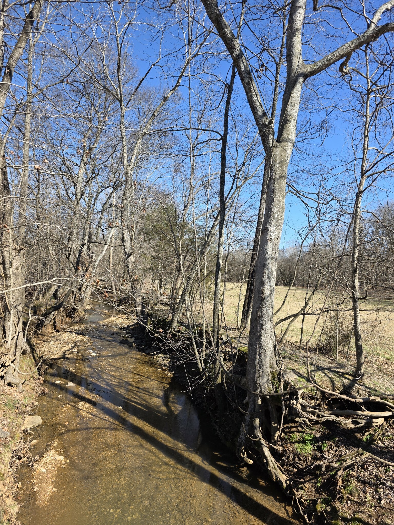 Property Photo:  1046 Indian Creek Rd  TN 37051 