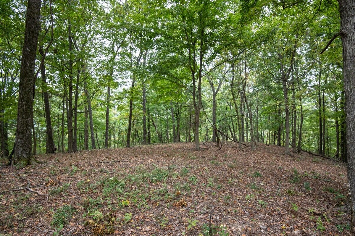 Property Photo:  0 Bursby Branch Road  TN 37066 