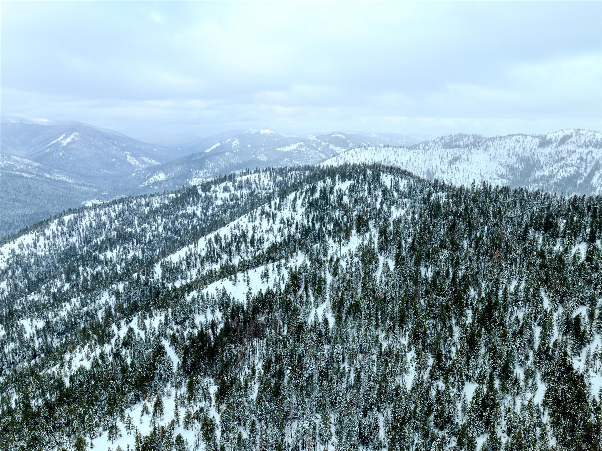 Property Photo: Nhn McGinnis Meadows - Bayhorse Road Section 1 MT 59923