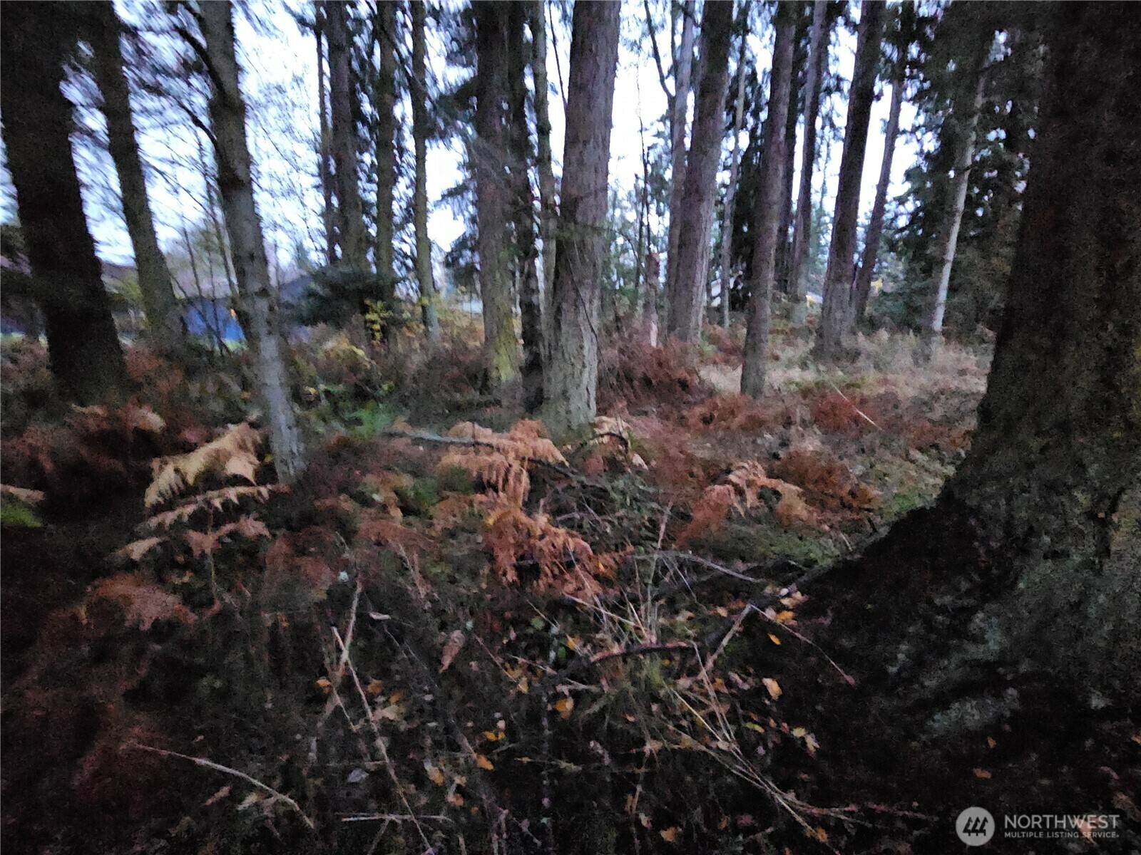 Property Photo:  0  Ledgewood Beach Road  WA 98239 