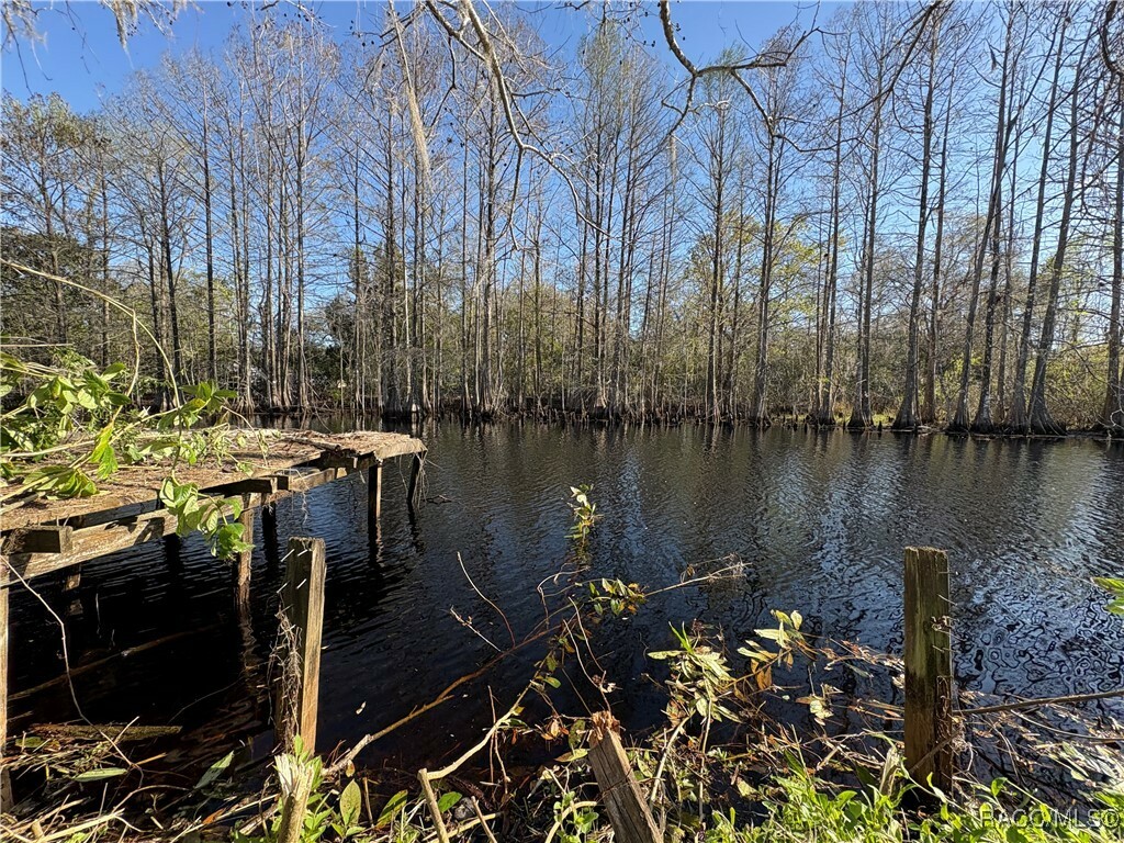 Property Photo: 10500 E Gobbler Drive FL 34436