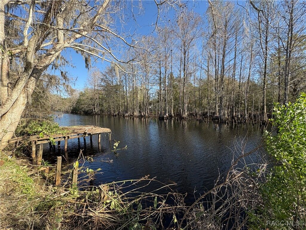 Property Photo:  10500 E Gobbler Drive  FL 34436 