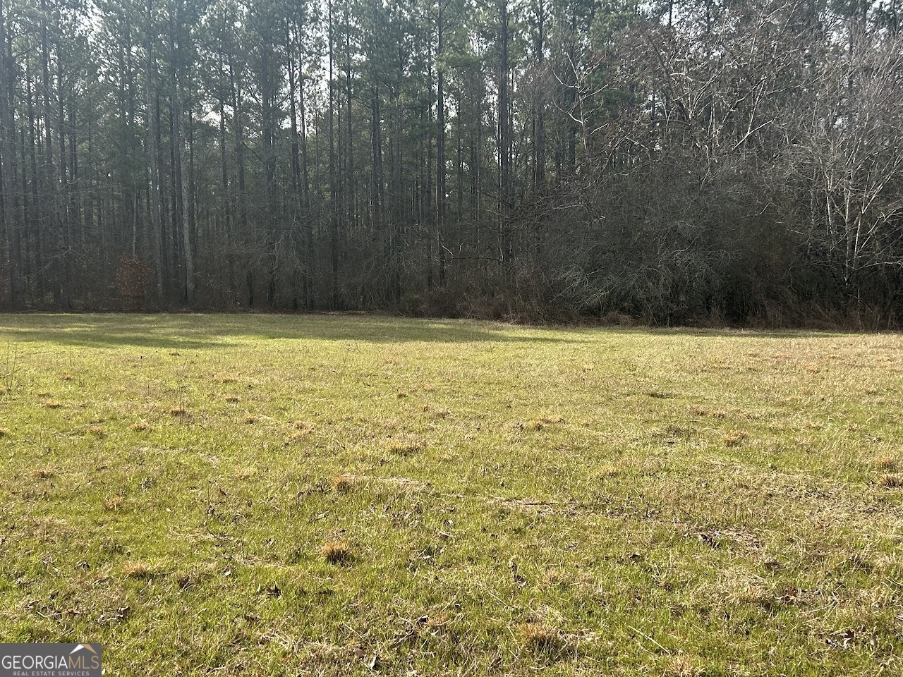 Property Photo: 181 Riversong Road GA 30117