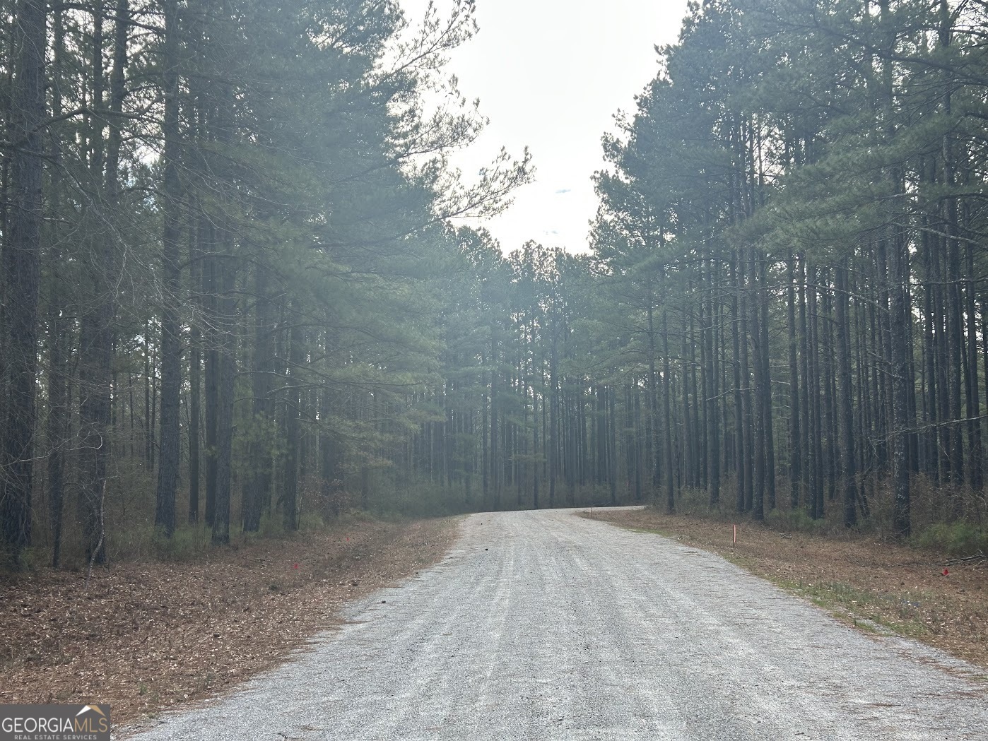 Property Photo:  0 Riversong Road Tract 1 (10.75)  GA 30117 