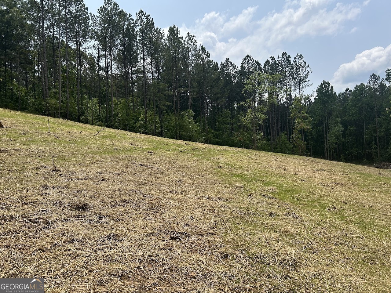 Property Photo:  208 Riversong Road  GA 30117 