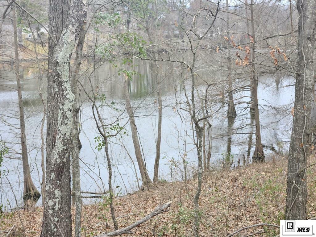 Property Photo: 000 Hwy 165 S LA 71280