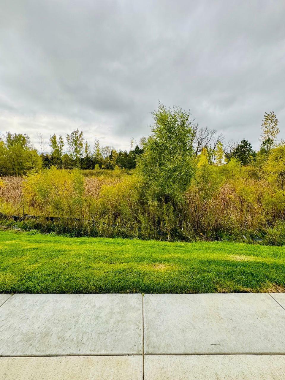 Property Photo: 4831 Education Drive N MN 55038