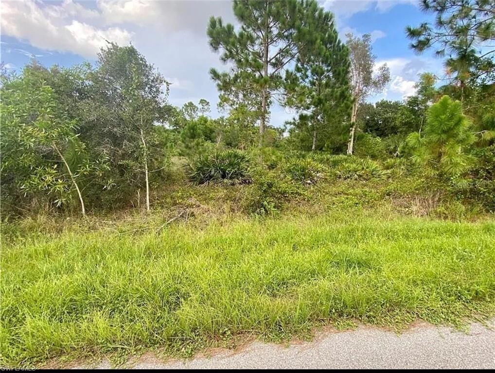 Property Photo:  11258 3rd Ave  FL 33955 