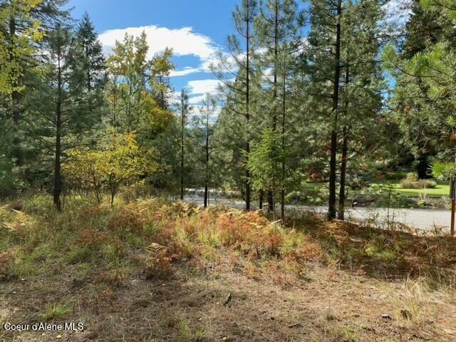 Nna N Woodlake Dr  Hauser ID 83854 photo