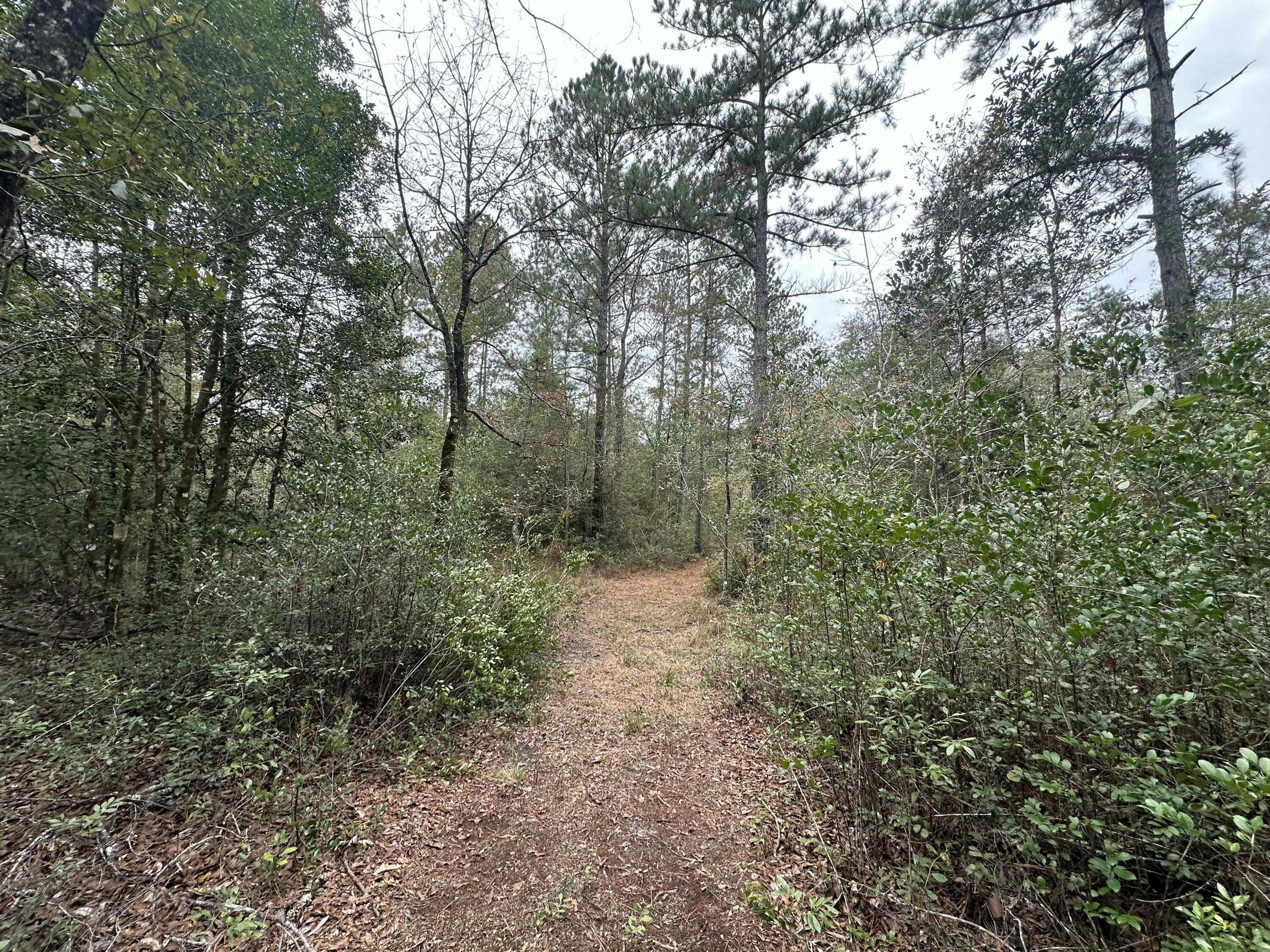 Property Photo:  Parcel D Turkey Track Street  FL 32539 