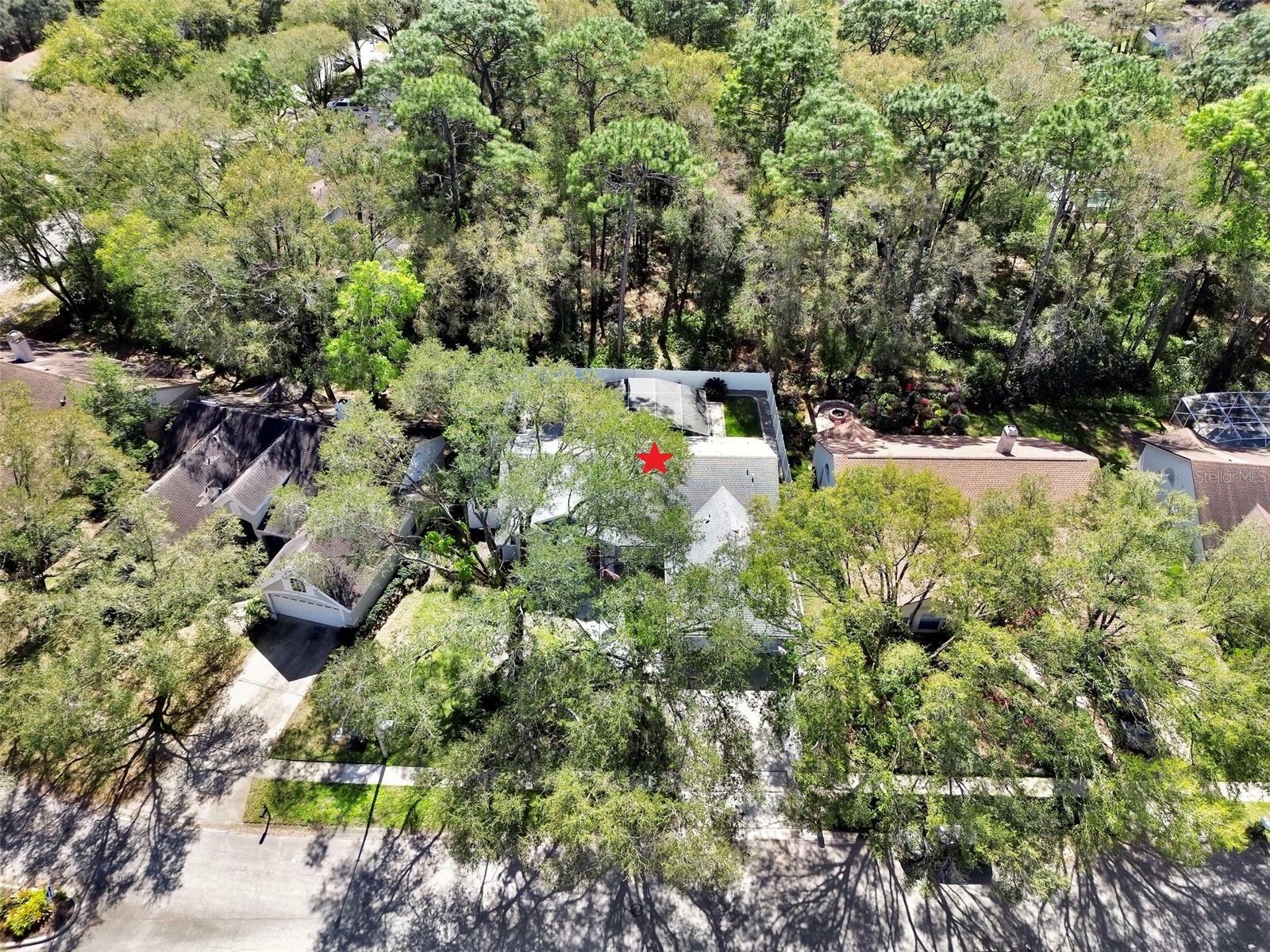 Property Photo:  1404 Whispering Woods Way  FL 32724 