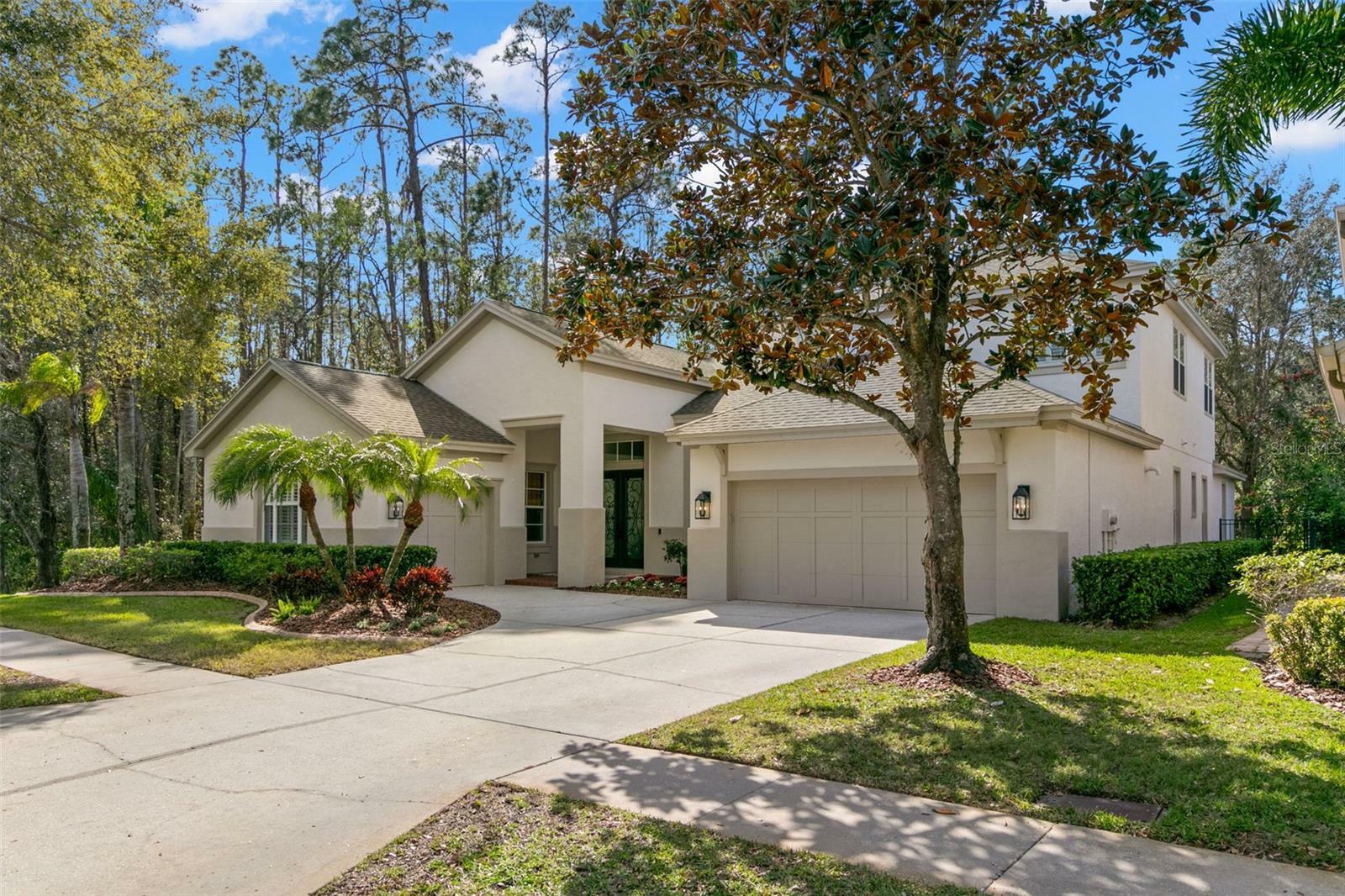 14841 Tudor Chase Drive  Tampa FL 33626 photo
