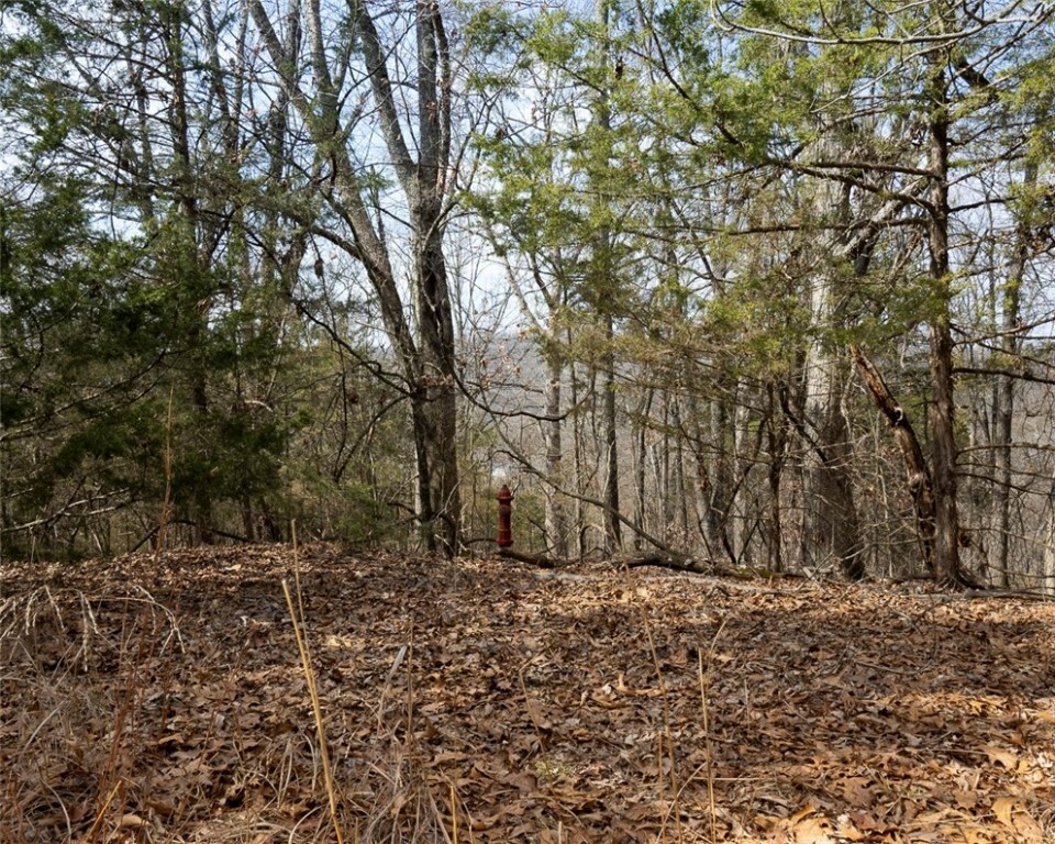 Property Photo: Lot 64 Rocky Ridge Place AR 72732
