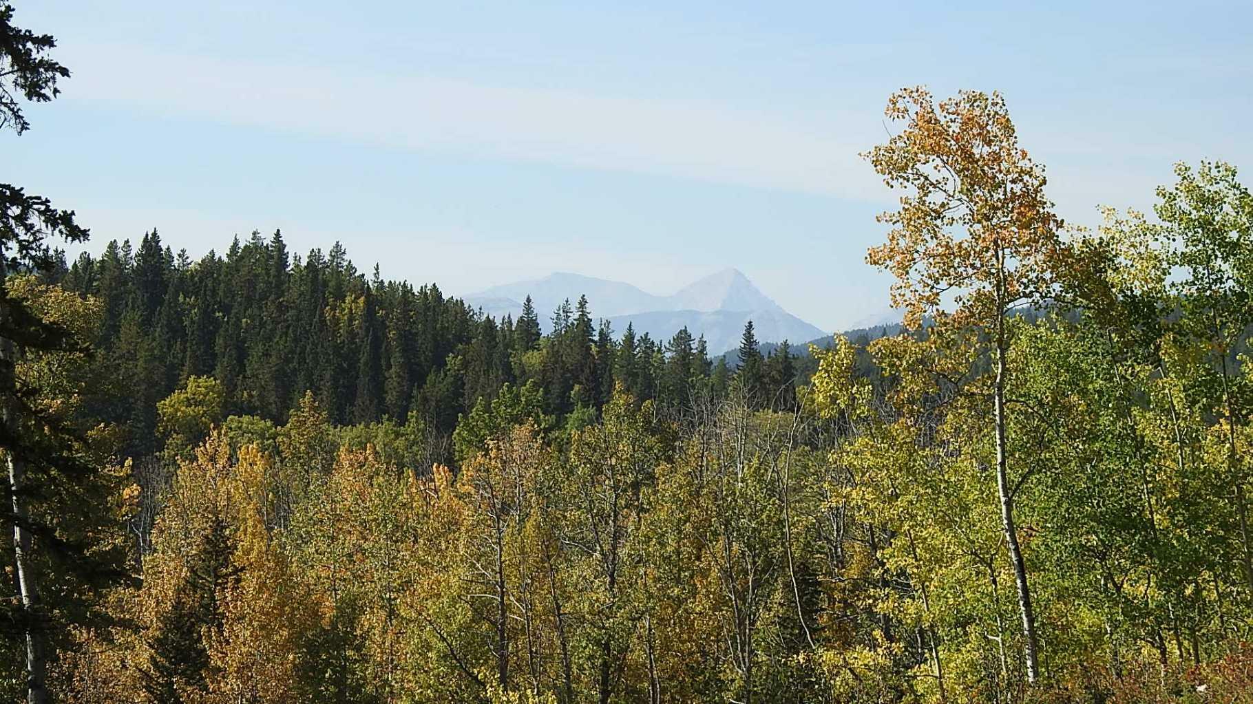 Property Photo:  108 Acres Bordering Kananaskis  AB T0L 1K0 