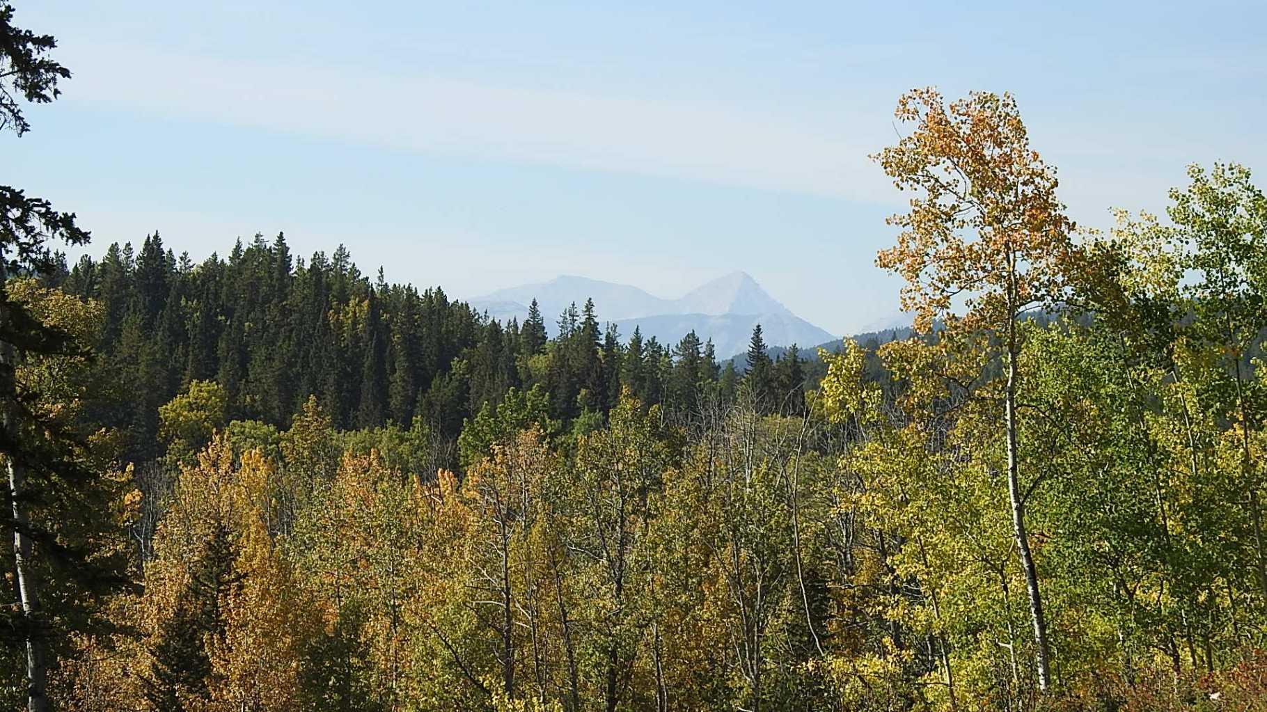 Property Photo: 108 Acres Bordering Kananaskis AB T0L 1K0